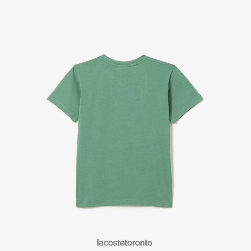 Clothing Lacoste Crew Neck Cotton Jersey T-Shirt Khaki Green Kids Z60BPR3003