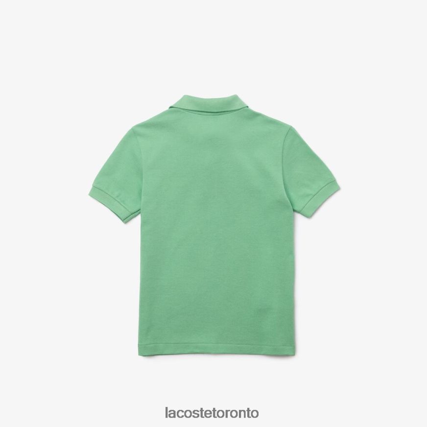 Clothing Lacoste Regular Fit Petit Pique Polo Green Kids Z60BPR3124