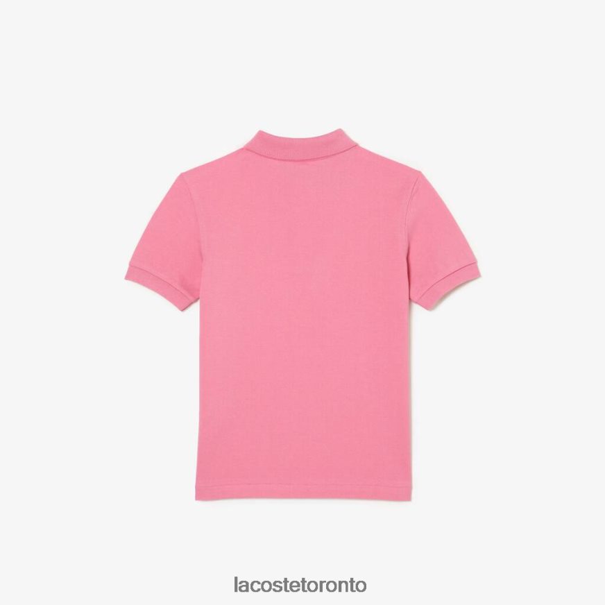 Clothing Lacoste Regular Fit Petit Pique Polo Pink Kids Z60BPR3024