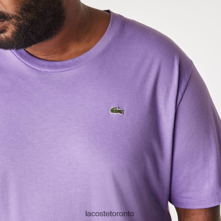 Clothing Lacoste Regular Fit Pima Cotton Jersey T-Shirt Purple Men Z60BPR822