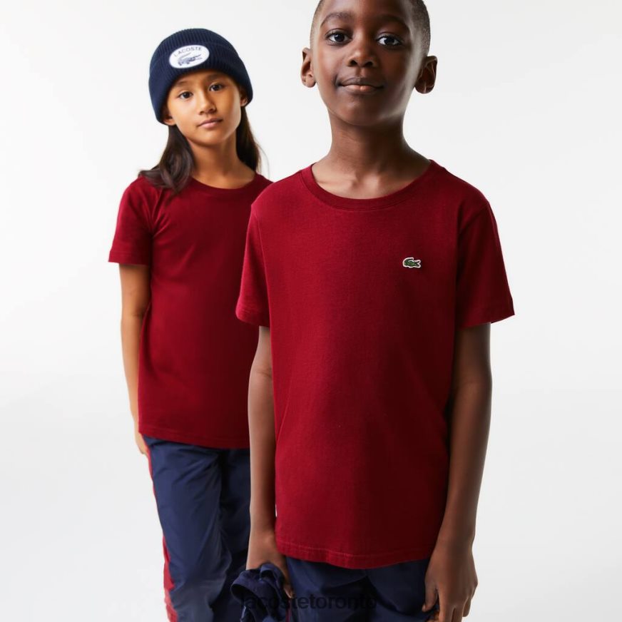 Clothing Lacoste Crew Neck Cotton Jersey T-Shirt Bordeaux Kids Z60BPR3165