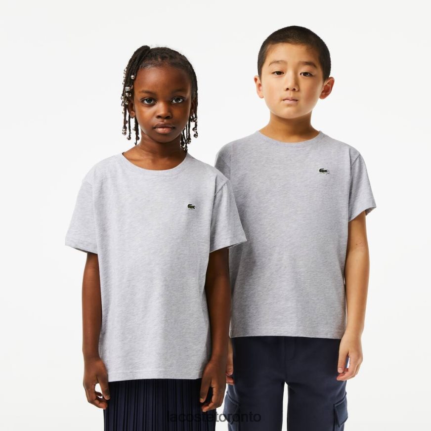 Clothing Lacoste Crew Neck Cotton Jersey T-Shirt Grey Chine Kids Z60BPR3125