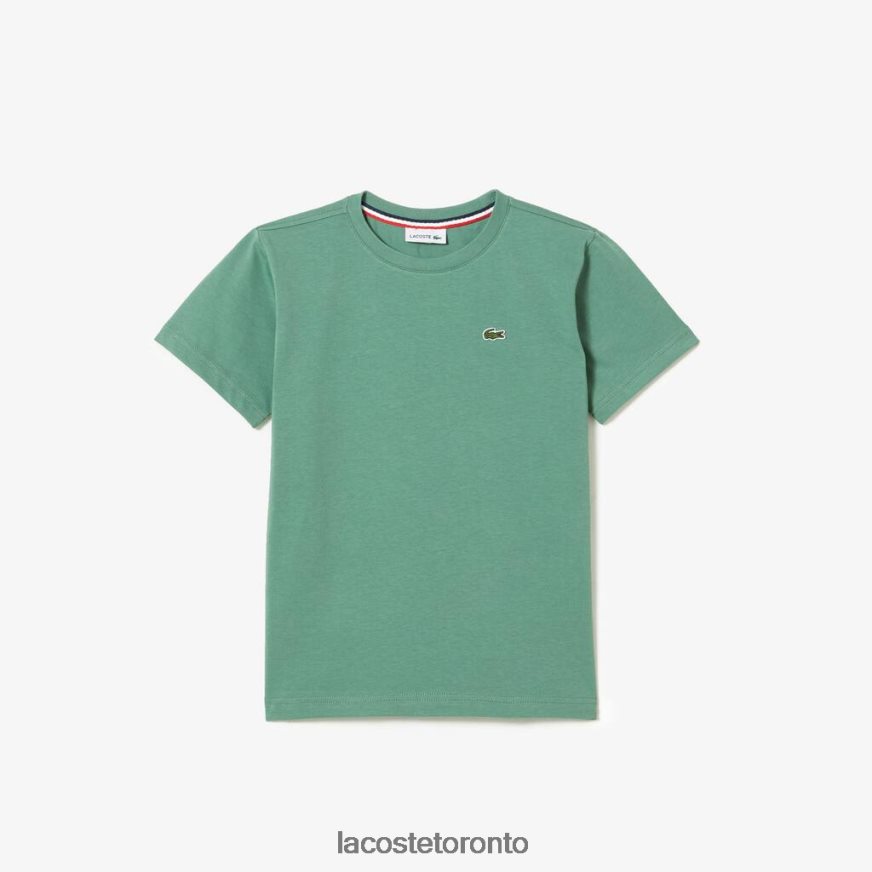 Clothing Lacoste Crew Neck Cotton Jersey T-Shirt Khaki Green Kids Z60BPR3003