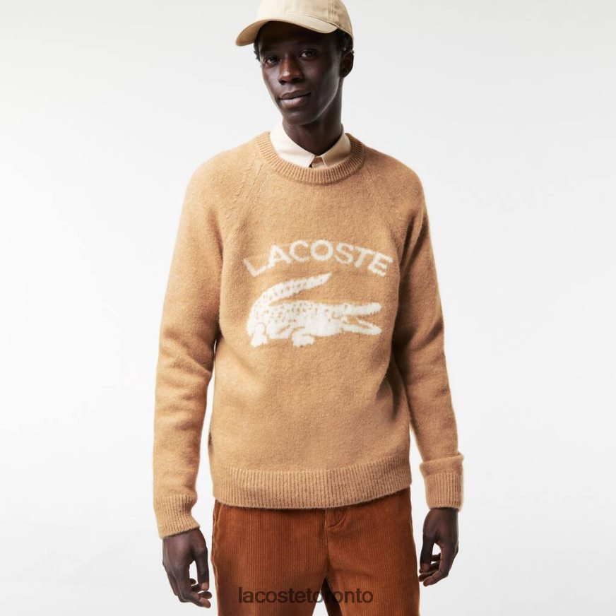 Clothing Lacoste Branded Contrast Crocodile Blend Alpaca Sweater Beige/White Men Z60BPR1465
