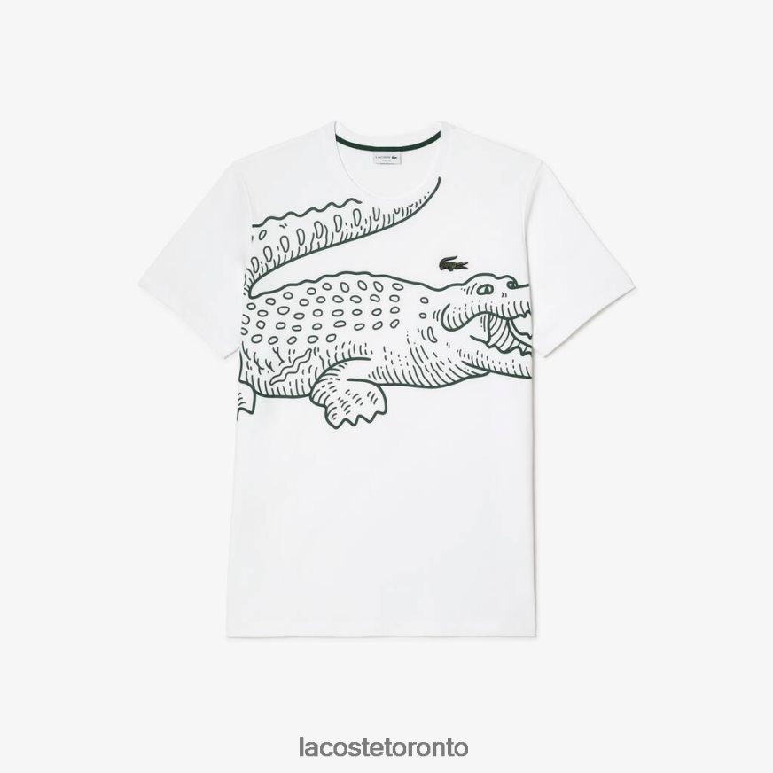 Clothing Lacoste Loose Fit Cotton T-shirt - Plus Size - Tall White Men Z60BPR136