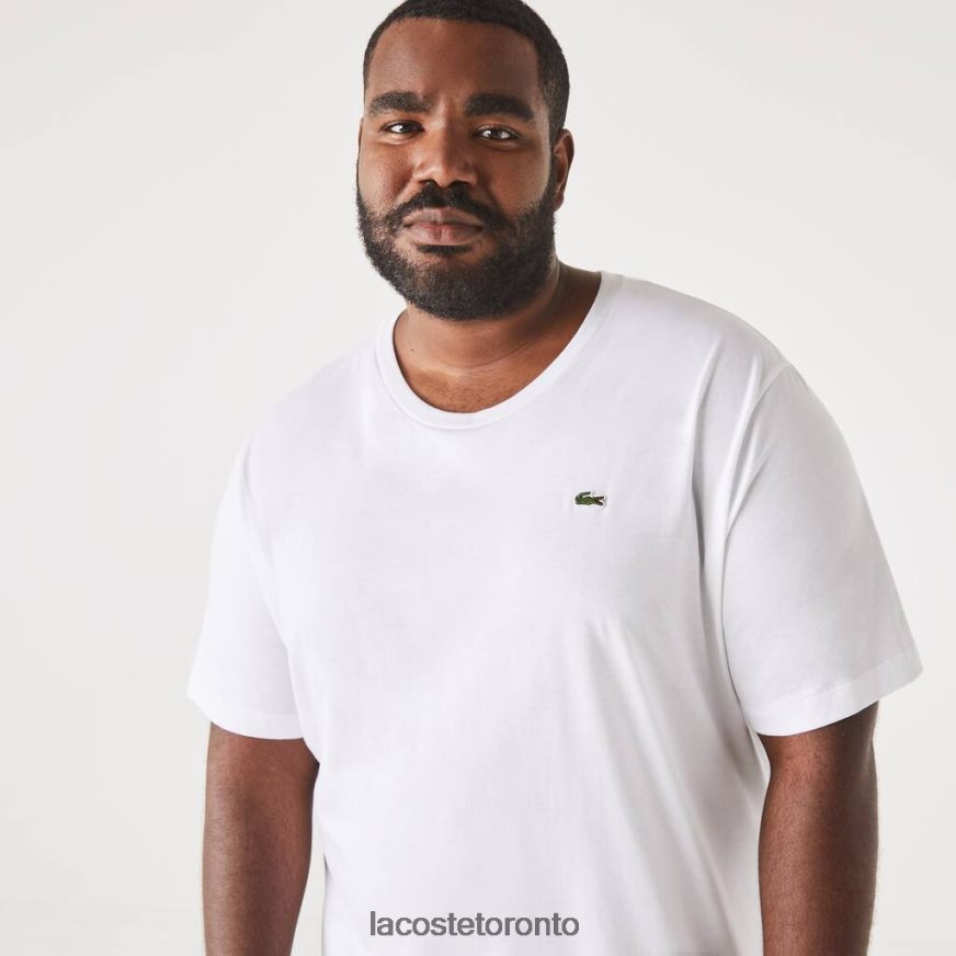 Clothing Lacoste Regular Fit Pima Cotton Jersey T-Shirt White Men Z60BPR651
