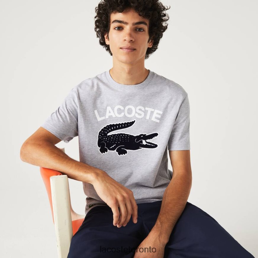 Clothing Lacoste Regular Fit XL Crocodile Print T-Shirt Grey Chine Men Z60BPR572