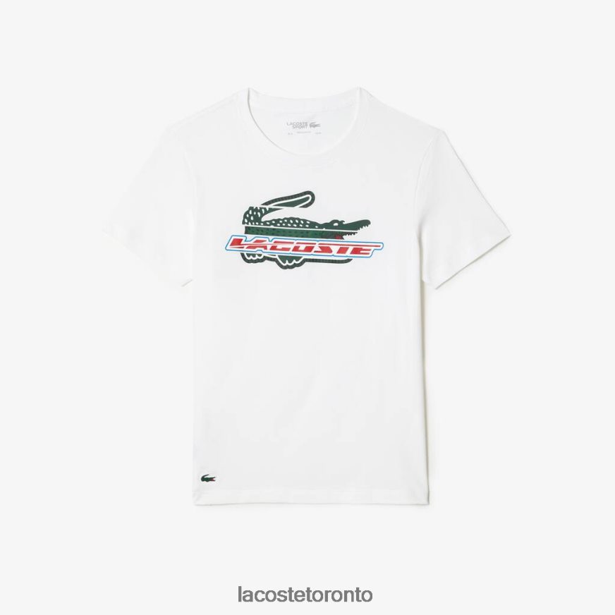Clothing Lacoste SPORT Regular Fit Organic Cotton T-Shirt White Men Z60BPR141