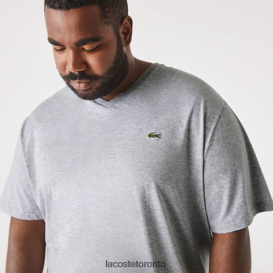 Clothing Lacoste V-Neck Jersey T-Shirt Grey Chine Men Z60BPR801