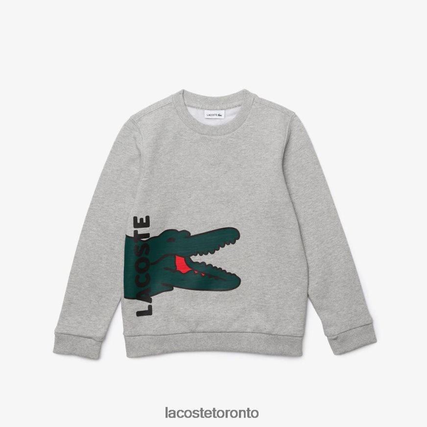 Clothing Lacoste Crocodile Print Fleece Sweatshirt Grey Chine/White Kids Z60BPR3244